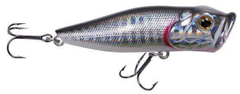 Wobler Robinson Pop Star