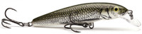 Olive Bleak
