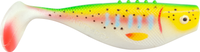 Rainbow Trout