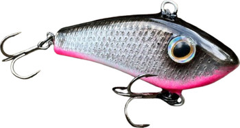 Cykada Great Fish Neon Cicada