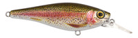 Rainbow Trout