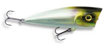 Wobler Robinson Splash