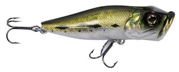 Wobler Robinson Pop Star