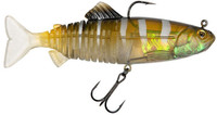 Young Perch