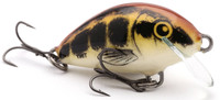 Baby Minnow