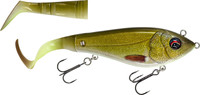 Tench