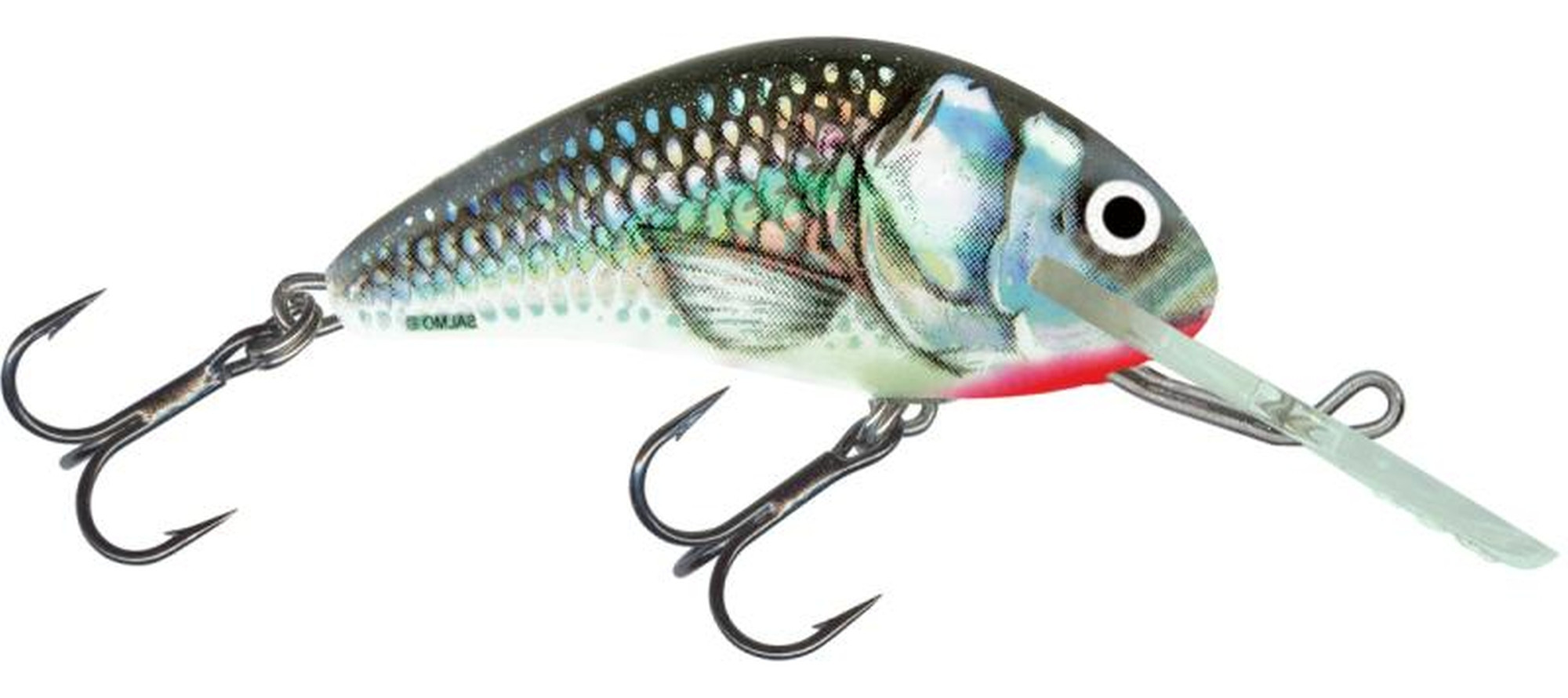 Wobler Salmo Hornet S