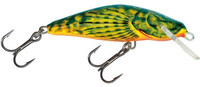 Hot Bullhead