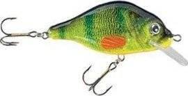 Woblery Jaxon HS Carpan