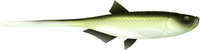 Olive Whitefish