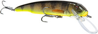 Black Perch