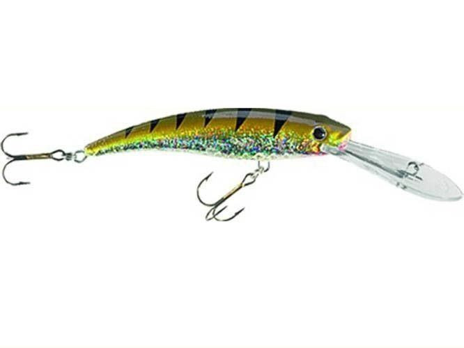Woblery Jaxon HS Diver
