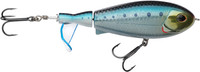 Sardine