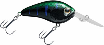 Wobler Daiwa Steez Crank