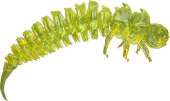 Guma spinningowa Qubi Lures Bigfatbug