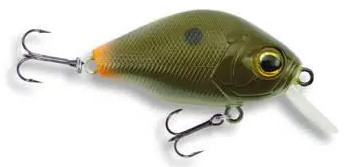 Wobler Robinson Dumpy