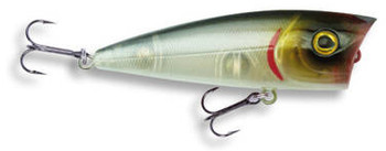 Wobler Robinson Splash