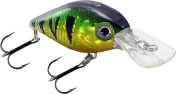 Wobler Kamatsu Rocky River