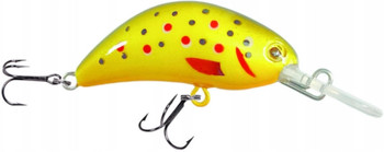 Wobler Robinson Tronx S40