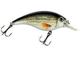 Woblery Jaxon Atract XXT-B