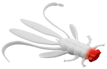 Guma Nimfa Delphin MANYA UVs