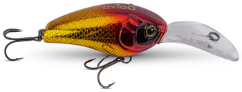 Wobler IC DOIYO Wild Buccaneer
