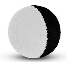 Pianka Delphin THE END ZIG RIG