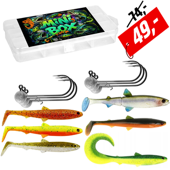 Mini BOX Perch 11