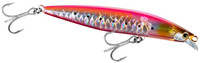 Red Sardine