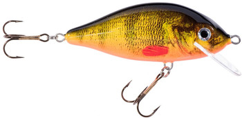 Wobler Jaxon HS Karaś