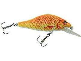 Woblery Jaxon Atract XXT-D