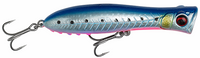 Pink Belly Sardine