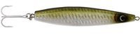 Green Sardine