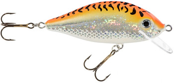 Wobler Jaxon HS Karaś