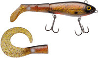 Crucian Carp