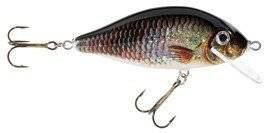 Woblery Jaxon HS Karaś