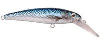 Mackerel