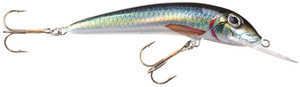 Wobler Jaxon Holo Select Ferox