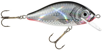 Wobler Jaxon HS Karaś