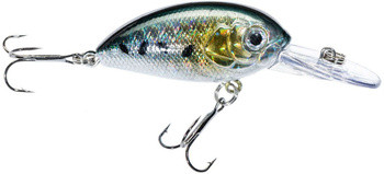 Wobler Jaxon Atract Aris