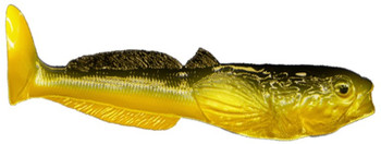 Przynęta gumowa Qubilures Głowacz