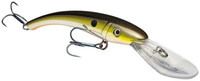 Silver Tn Shad