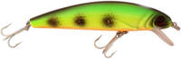Green Perch
