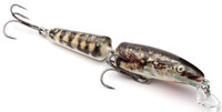 Holo Stickleback