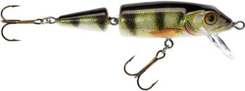 Wobler Jaxon Holo Select Horn QM