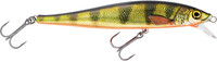 Real Perch