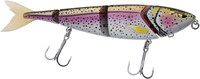 Rainbow Trout