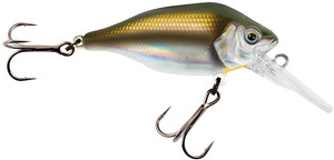 Wobler Fox Rage Funk Bug DR