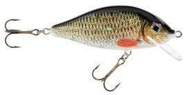 Woblery Jaxon HS Karaś