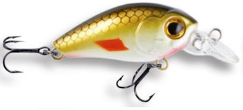 Wobler Robinson Arnie F35